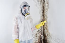 Best Forensic Mold Investigation  in Los Fresnos, TX